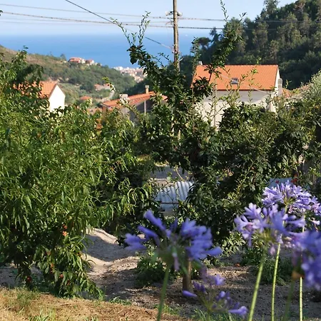 Bilocale Belio Con Terrazzo In Frazione Di Daire
